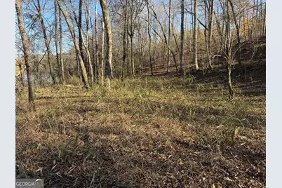 0 Hwy 36 #LOT 5, Woodland, GA 31836 - Photo 11