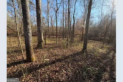 0 Hwy 36 #LOT 5, Woodland, GA 31836 - Photo 17
