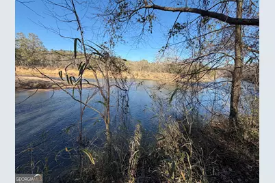 0 Hwy 36 #LOT 5, Woodland, GA 31836 - Photo 7