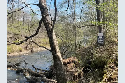 0 Hwy 36 #LOT 5, Woodland, GA 31836 - Photo 3