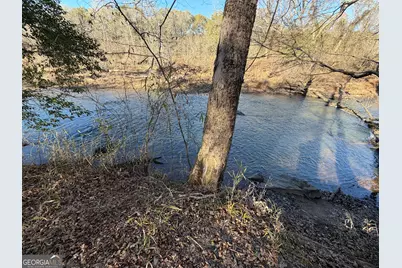 0 Hwy 36 #LOT 5, Woodland, GA 31836 - Photo 19