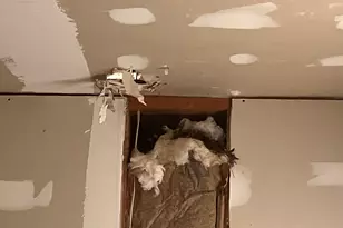 357 Doles Blvd, Milledgeville, GA 31061 - Photo 21