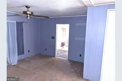 12122 Warm Springs Road, Ellerslie, GA 31807 - Photo 5