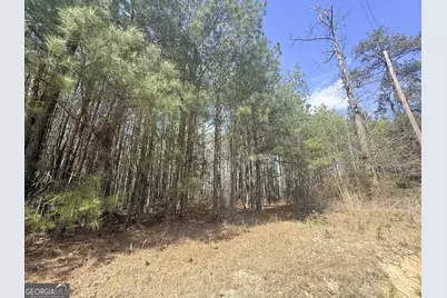 15 Hollis Norman Road, Tignall, GA 30668 - Photo 13