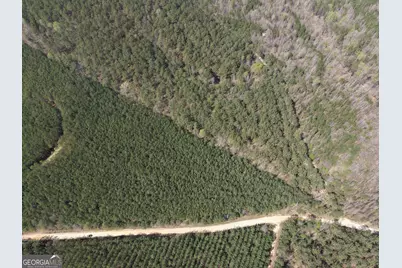 15 Hollis Norman Road, Tignall, GA 30668 - Photo 21