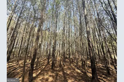 15 Hollis Norman Road, Tignall, GA 30668 - Photo 7