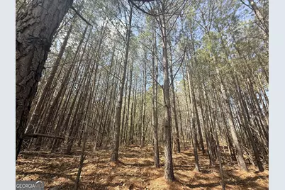 15 Hollis Norman Road, Tignall, GA 30668 - Photo 11