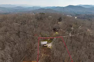 199 Highland Cir, Blue Ridge, GA 30513 - Photo 49