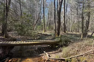 127 Black Forest Ln, Blairsville, GA 30512 - Photo 29