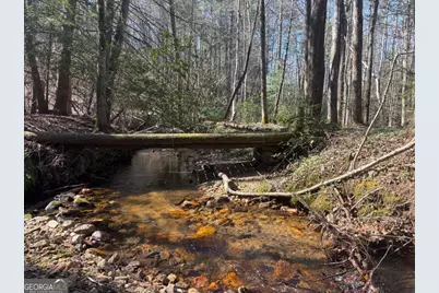 127 Black Forest Lane #2,3, Blairsville, GA 30512 - Photo 69