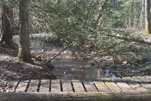 127 Black Forest Ln, Blairsville, GA 30512 - Photo 59