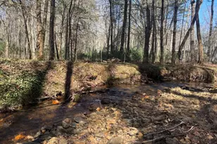 127 Black Forest Ln, Blairsville, GA 30512 - Photo 3