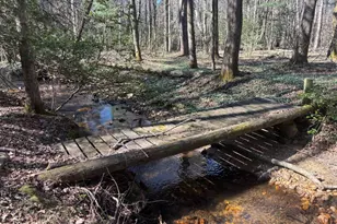 127 Black Forest Ln, Blairsville, GA 30512 - Photo 71