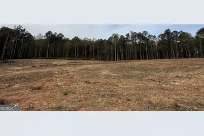 0 Royston Bypass, Royston, GA 30662 - Photo 1