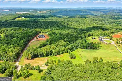 3511 Reavis Mountain #2 Road, Ball Ground, GA 30107 - Photo 11