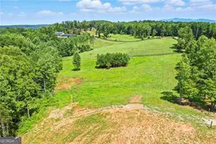 3511 Reavis Mountain Rd, Ball Ground, GA 30107 - Photo 13