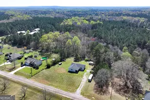 123 Mathews Rd, Milner, GA 30257 - Photo 49