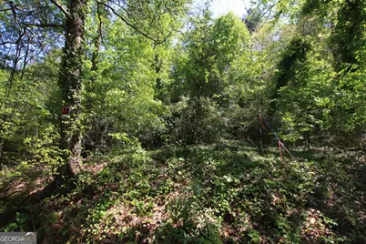 0 Glover Street, Rome, GA 30161 - Photo 5
