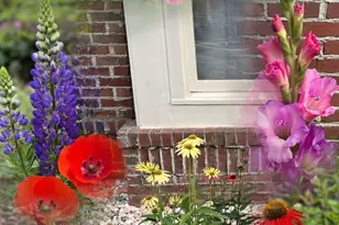 127 Stargaze Ridge, Canton, GA 30114 - Photo 17