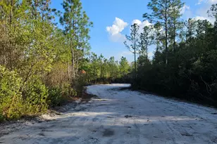 0 Mill Branch Club Road 1H, Pembroke, GA 31321 - Photo 1