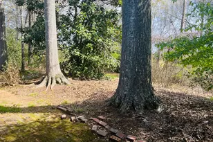 403 Breezy Pines Way, Pine Mountain, GA 31822 - Photo 19