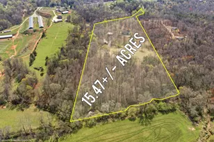 401 Herrin Rd, Cornelia, GA 30531 - Photo 73