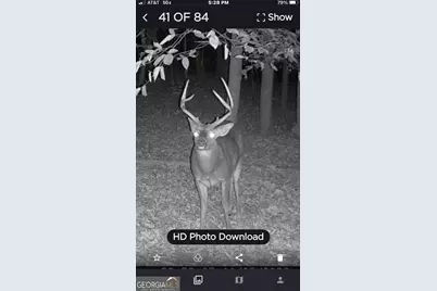 401 Herrin Road, Cornelia, GA 30531 - Photo 75