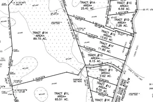 0 Mill Branch Club Road 1J, Pembroke, GA 31321 - Photo 1
