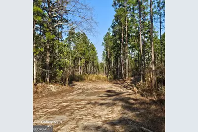 0 Mill Branch Club Road 1 K, Pembroke, GA 31321 - Photo 1
