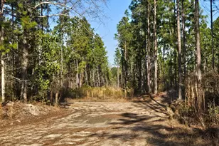0 Mill Branch Club Road 1 K, Pembroke, GA 31321 - Photo 1