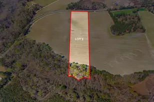0 Stilson-Leefield Rd Lot 3, Brooklet, GA 30415 - Photo 1