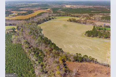 0 Stilson Leefield Rd Lot 3, Brooklet, GA 30415 - Photo 9