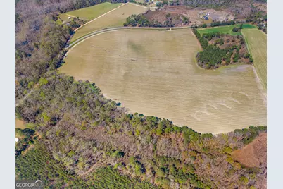 0 Stilson Leefield Rd Lot 4, Brooklet, GA 30415 - Photo 7