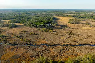 4577 N Coastal Hwy, Fleming, GA 31309 - Photo 99