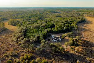 4577 N Coastal Hwy, Fleming, GA 31309 - Photo 7