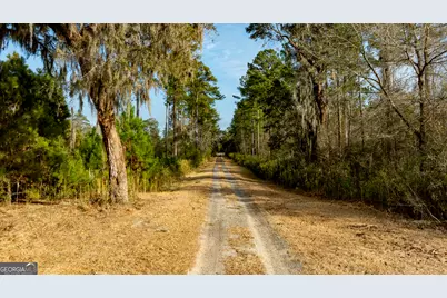 4577 N Coastal Highway, Fleming, GA 31309 - Photo 91