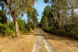 4577 N Coastal Hwy, Fleming, GA 31309 - Photo 91