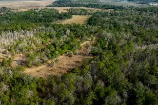 4577 N Coastal Hwy, Fleming, GA 31309 - Photo 93