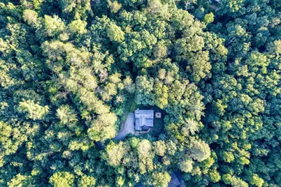 307 Bent Wood Lane, Blue Ridge, GA 30513 - Photo 55