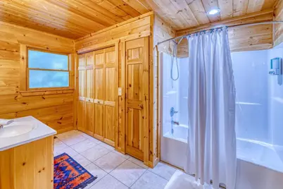 307 Bent Wood Lane, Blue Ridge, GA 30513 - Photo 51