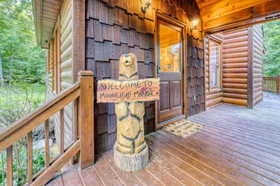 307 Bent Wood Lane, Blue Ridge, GA 30513 - Photo 3