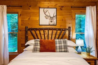 307 Bent Wood Lane, Blue Ridge, GA 30513 - Photo 29