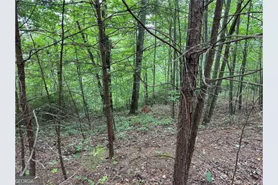 585 Galaxy Way, Ranger, GA 30734 - Photo 5