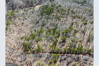 0 Outback Road #87, Jasper, GA 30143 - Photo 3