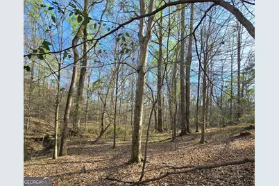 0 Willis Glenn Rd, Hull, GA 30646 - Photo 5