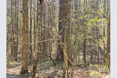 0 Willis Glenn Rd, Hull, GA 30646 - Photo 7