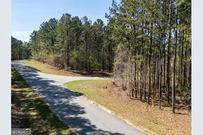 Lot 23 S Pointe Cove, Lincolnton, GA 30817 - Photo 7