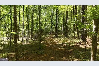 955 Cheatham Road, Griffin, GA 30223 - Photo 11