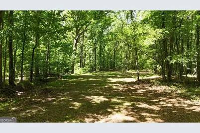 955 Cheatham Road, Griffin, GA 30223 - Photo 17