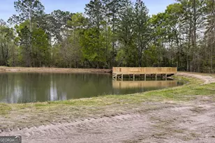 99 Shirley Ln Hwy 169, Glennville, GA 30427 - Photo 7